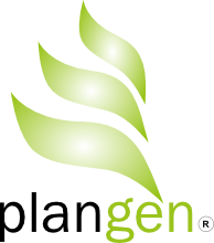 Plangen